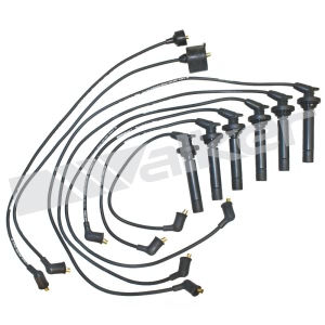 Walker Products Spark Plug Wire Set for Acura - 924-1273