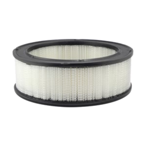 Hastings Air Filter for American Motors - AF9