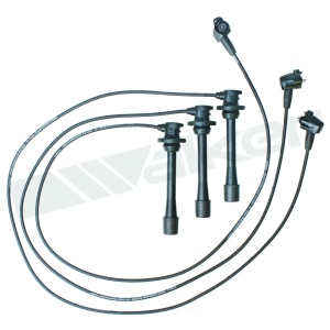 Walker Products Spark Plug Wire Set for 2004 Toyota Tacoma - 924-1520