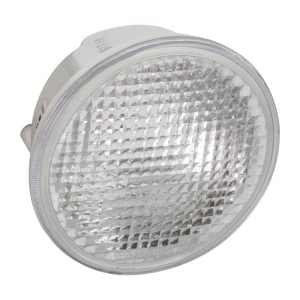 TYC Factory Replacement Back Up Lights for 1998 Volkswagen Beetle - 17-5029-01