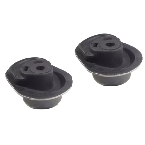 Delphi Rear Lower Axle Support Bushing for 1997 Volkswagen Golf - TD796W