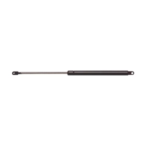 StrongArm Hood Lift Support for 2000 Audi S4 - 6316