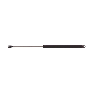 StrongArm Hood Lift Support for 2002 Audi S4 - 6316