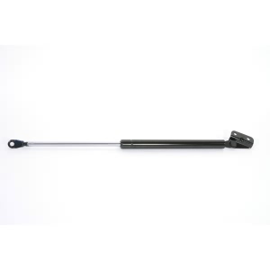 StrongArm Back Door Lift Support for 2001 Honda CR-V - 6150