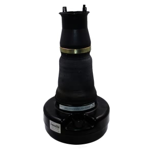 Westar Air Suspension Spring - AS-7003L