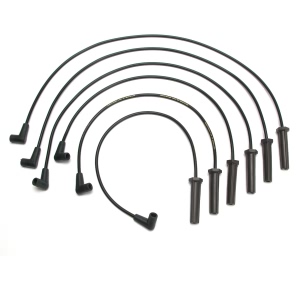 Delphi Spark Plug Wire Set for Pontiac Montana - XS10390
