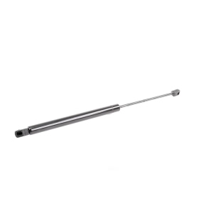 VAICO Liftgate Lift Support for 2015 Audi Q7 - V10-1966