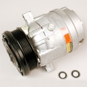 Delphi A C Compressor With Clutch for 2004 Buick Regal - CS0061