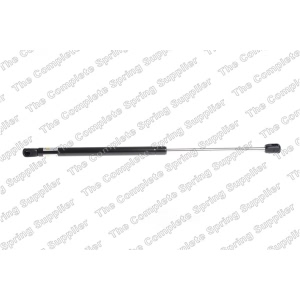 lesjofors Liftgate Lift Support for 2016 Mercedes-Benz E350 - 8156825