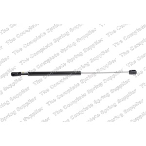 lesjofors Liftgate Lift Support for 2015 Mercedes-Benz E400 - 8156825