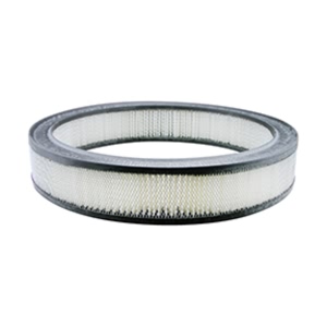 Hastings Air Filter for Ford LTD - AF184