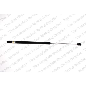 lesjofors Trunk Lid Lift Support for 1999 BMW 318ti - 8108410