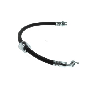 Centric Brake Hose for 2001 Toyota MR2 Spyder - 150.44393