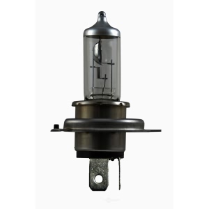 Hella H4P50Tb Performance Series Halogen Light Bulb for 2010 Chevrolet Aveo - H4P50TB
