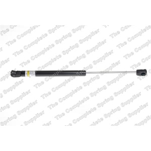 lesjofors Trunk Lid Lift Support for 2005 Volkswagen Passat - 8195059