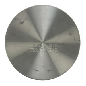 Sealed Power Piston for Mercury - 1022NP