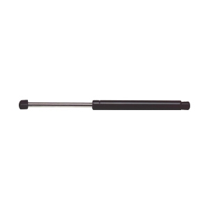 StrongArm Liftgate Lift Support for Volkswagen - 6859