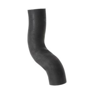 Dayco Engine Coolant Curved Radiator Hose for 2002 Jaguar S-Type - 72297
