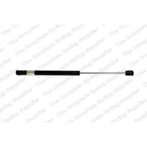 lesjofors Trunk Lid Lift Support for Audi S8 - 8104236