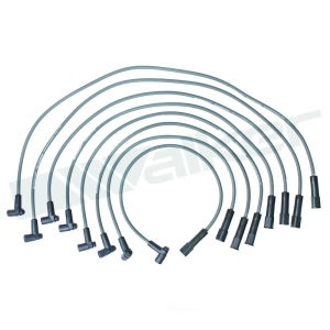 Walker Products Spark Plug Wire Set for Chrysler Imperial - 924-1513