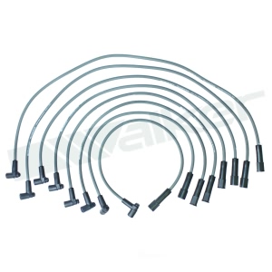 Walker Products Spark Plug Wire Set for Chrysler - 924-1513