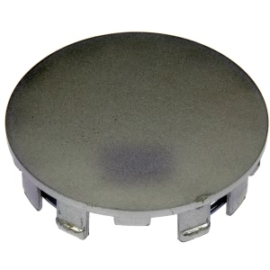 Dorman Silver Painted Wheel Center Cap for 2006 Nissan Sentra - 909-091