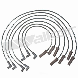 Walker Products Spark Plug Wire Set for 1987 Buick Regal - 924-1334