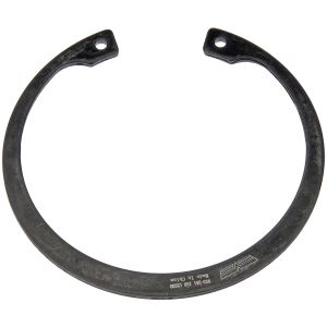 Dorman OE Solutions Rear Wheel Bearing Retaining Ring for BMW - 933-251