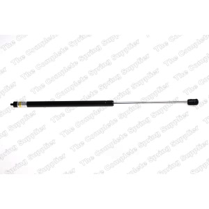 lesjofors Driver Side Hood Lift Support for 2005 Mercedes-Benz C320 - 8056807