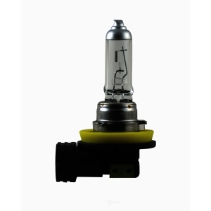 Hella H11P50Tb Performance Series Halogen Light Bulb for Scion - H11P50TB