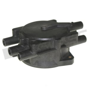 Walker Products Ignition Distributor Cap for Nissan Pathfinder - 925-1037