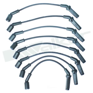 Walker Products Spark Plug Wire Set for Chevrolet Express - 924-1828