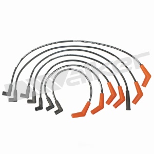 Walker Products Spark Plug Wire Set for Merkur - 924-1299