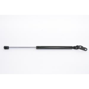 StrongArm Driver Side Liftgate Lift Support for 2003 Toyota Celica - 6191L