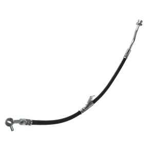 Centric Brake Hose for 2011 Hyundai Equus - 150.51096