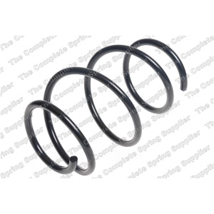 lesjofors Front Coil Springs for BMW Z4 - 4008510