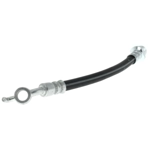 Centric Rear Passenger Side Brake Hose for 2013 Toyota Matrix - 150.44447