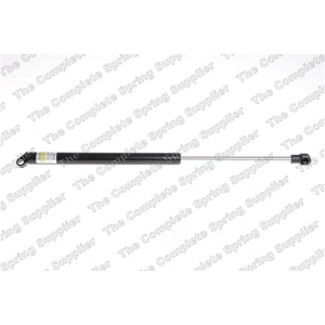 lesjofors Trunk Lid Lift Support for Mercedes-Benz S55 AMG - 8156818