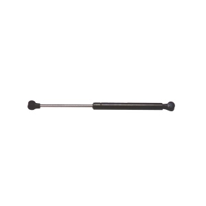 StrongArm Trunk Lid Lift Support for Dodge - 4045