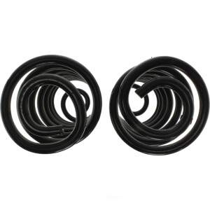 Centric Premium™ Coil Springs for Ford LTD Crown Victoria - 630.61055