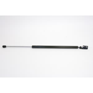 StrongArm Passenger Side Liftgate Lift Support for Mazda MPV - 6113R