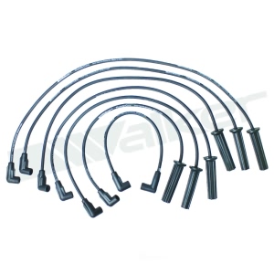 Walker Products Spark Plug Wire Set for Isuzu - 924-1514