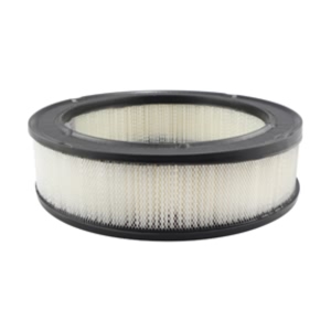 Hastings Air Filter for 1984 Dodge W250 - AF4