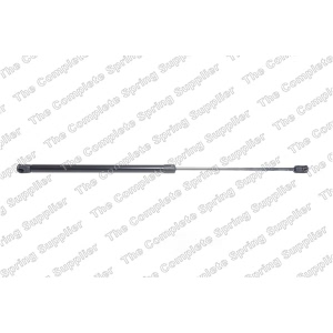 lesjofors Liftgate Lift Support for 2013 Ford Focus - 8127581