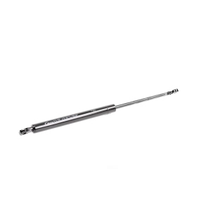 VAICO Trunk Lid Lift Support for BMW 525i - V20-2014