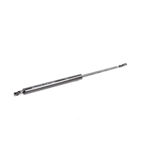 VAICO Trunk Lid Lift Support - V20-2014