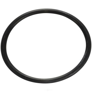 Spectra Premium Fuel Tank Lock Ring for Volkswagen Scirocco - LO22