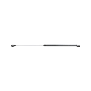 StrongArm Liftgate Lift Support for Honda Accord - 4437