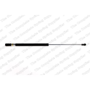 lesjofors Liftgate Lift Support for 2003 Mercedes-Benz C240 - 8156805