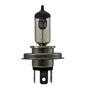 Hella Hs1Tb Standard Series Halogen Light Bulb for Suzuki - HS1TB